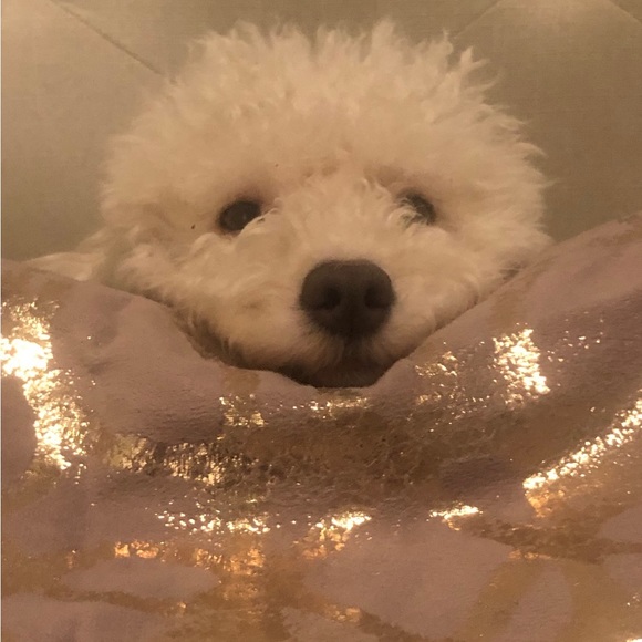 Welcome!! Thanks for visiting our closet! We look forward to visiting yo… - Picture 7 of 9